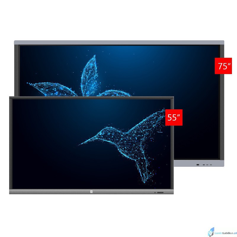 Zestaw interaktywny monitor interaktywny Avtek TouchScreen 5 Lite 55 + Avtek TouchScreen 5 Connect 75
