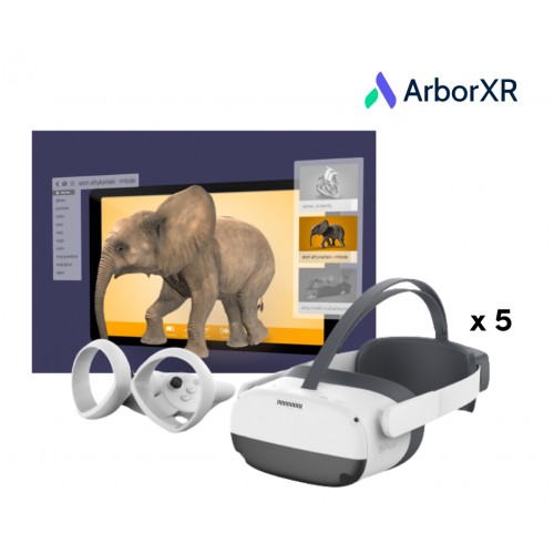 Wirtualna pracownia Zestaw VR Pico Neo3 Pro Arbor XR